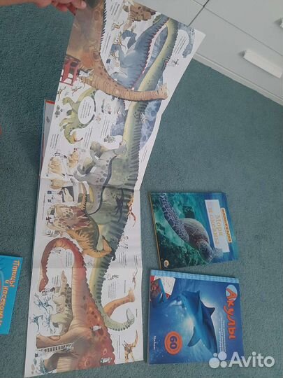 Энциклопедии пакетом