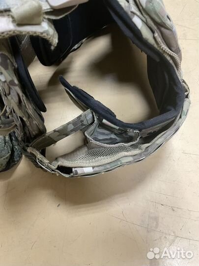 Плитник корсетный