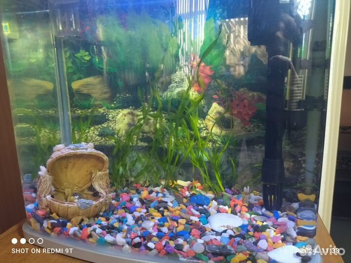 Аквариумы (16л и 27л) с рыбками и оборудованием