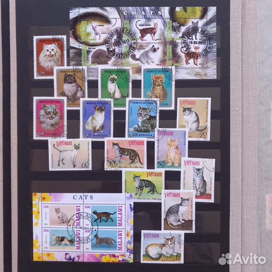 Почтовые марки кошки, собаки