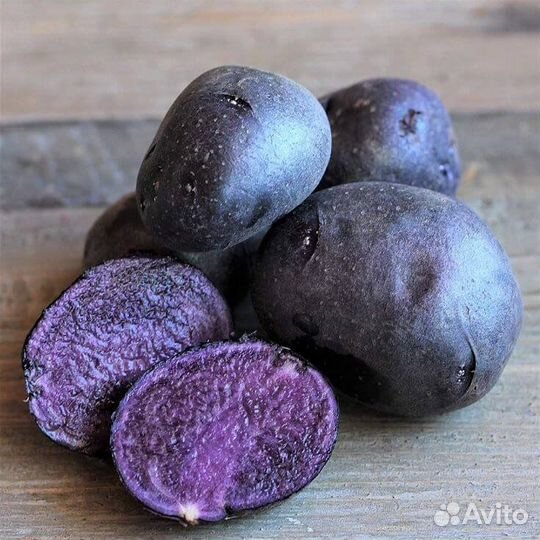 Картофель фиолетовый