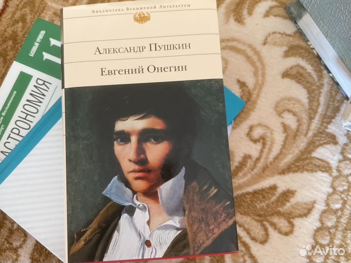 Пушкин евгений онегин