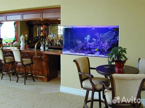 Аквариумы морские и пресноводные для дома и офиса