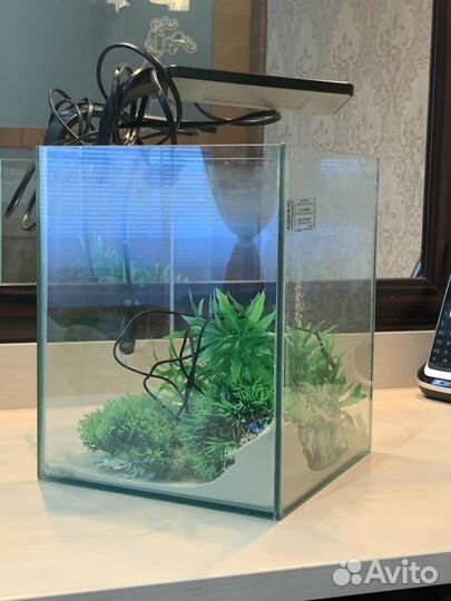 Аквариум для рыб 10литров