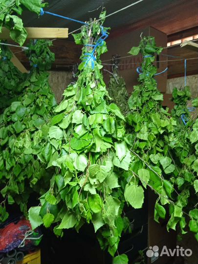 Березовые веники