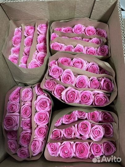 Роза без посредников оптом от 15 роз 101 роза