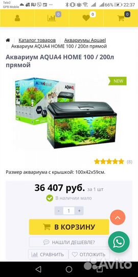 Аквариум. Рыбки. Растения