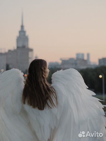 Экспресс-фотосессии, Фотограф (Москва)