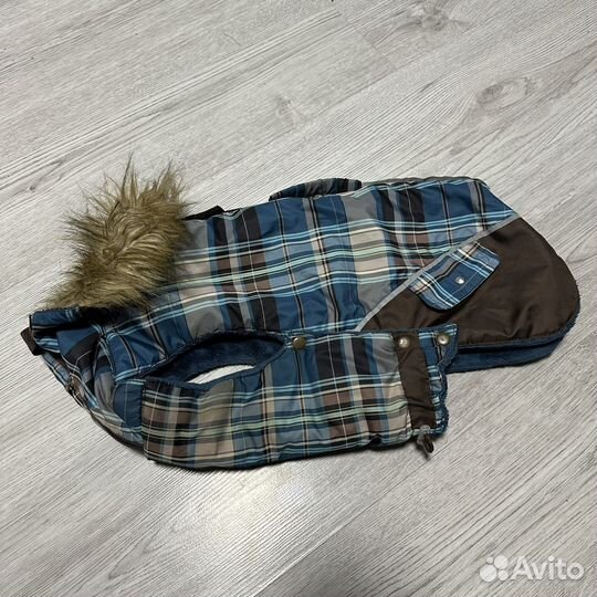 Одежда для средних пород