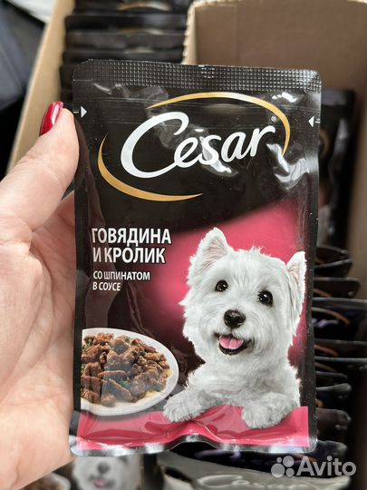 Корм для собак