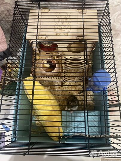 Клетка для хомяка