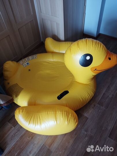 Круг с сетчатым дном и Надувной плот утенок