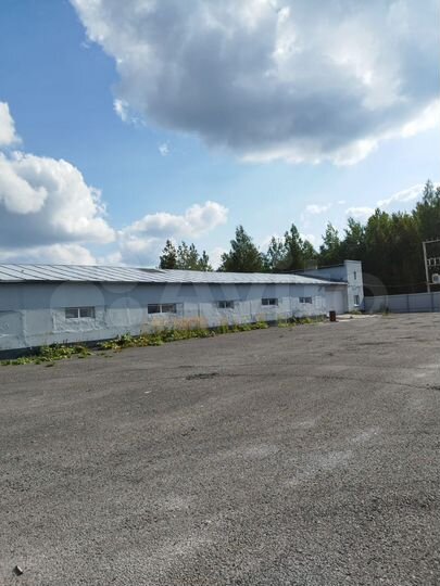 Производственное помещение, 1649.9 м²