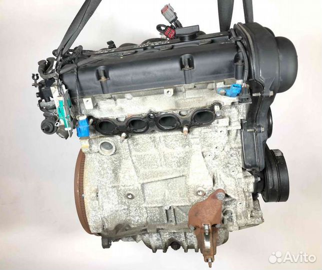 Двигатель Ford Focus 2010 hwda 1.6 бензин