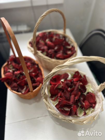 Лепестки роз розы цветы доставка цветов