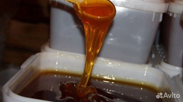 Мёд натуральный оптом