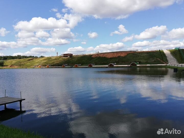 Платная рыбалка (карп)