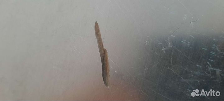 Поднос Мнц Кольчугино