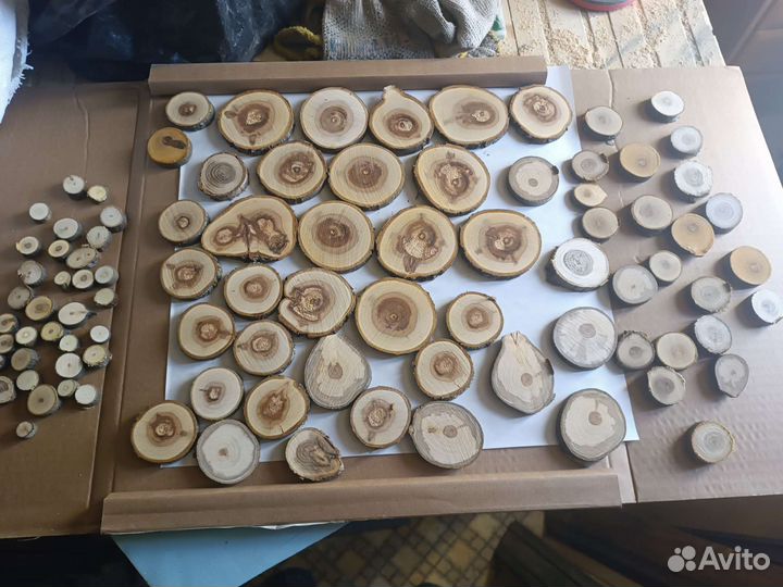 Торцевые спилы деревьев