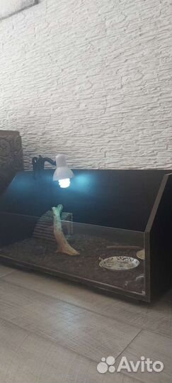 Террариум для черепахи