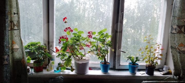 Комната 18 м² в 2-к., 5/5 эт.