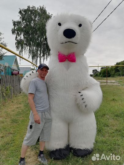 Трезвый водитель