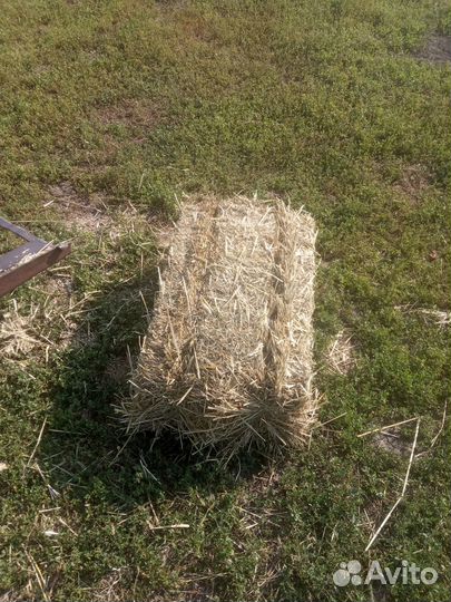 Солома в тюках