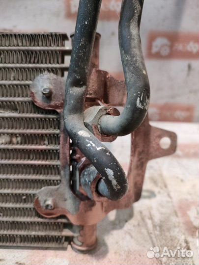 Радиатор АКПП Porsche Cayenne 955 M48.50 2006