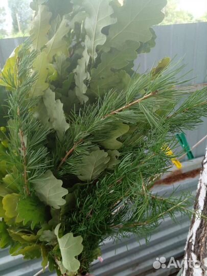 Банный веник