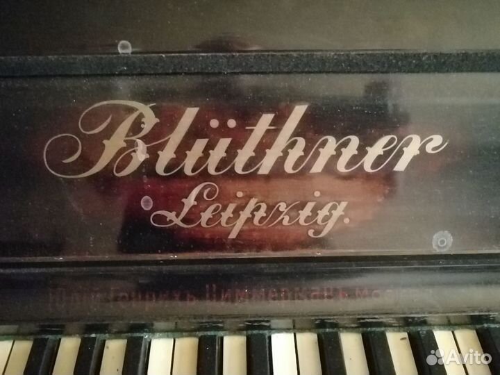 Пианино Bluthner Leipzig (Блютнер Лейпциг)