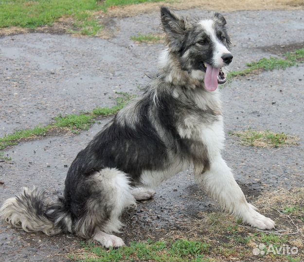 Воинственная Зена