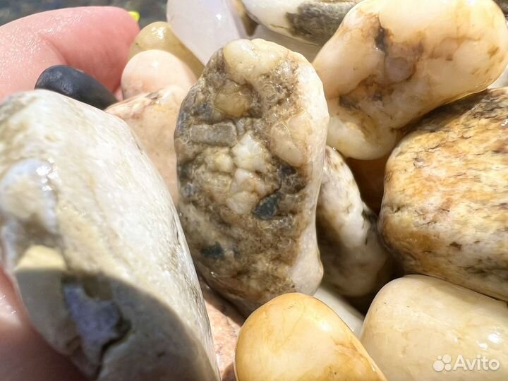 Морские камни для аквариума декора поделок