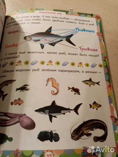 Книга для развития 5-6,новая