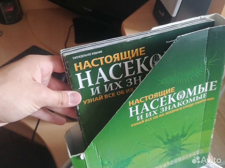 Насекомые и их знакомые
