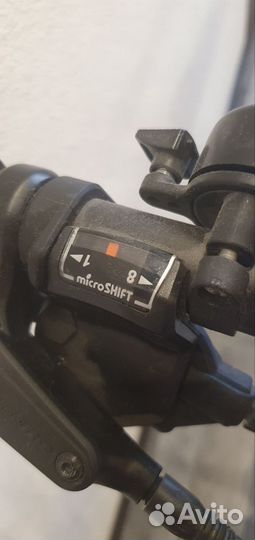 Marin Bobcat Trial 3