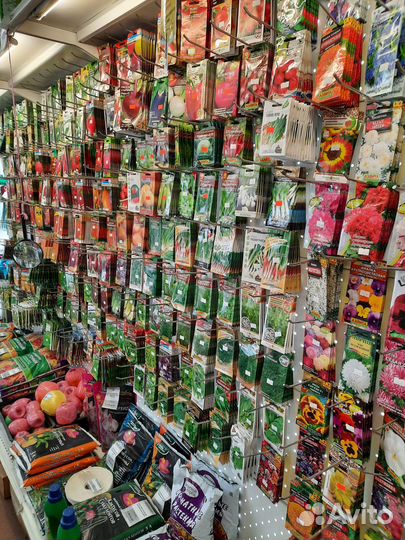 Семена для рассады