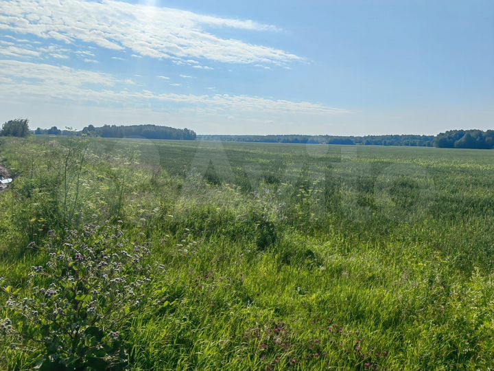 Участок 49,99 га (СНТ, ДНП)