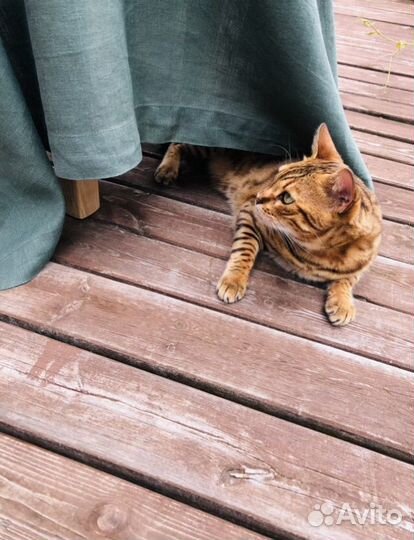 Скатерть льняная цвета зеленой хвои