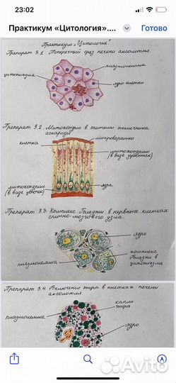 Перепишу от руки лекции и конспекты