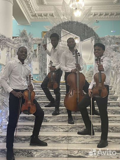 Скрипка на Ваш праздник. Живая музыка