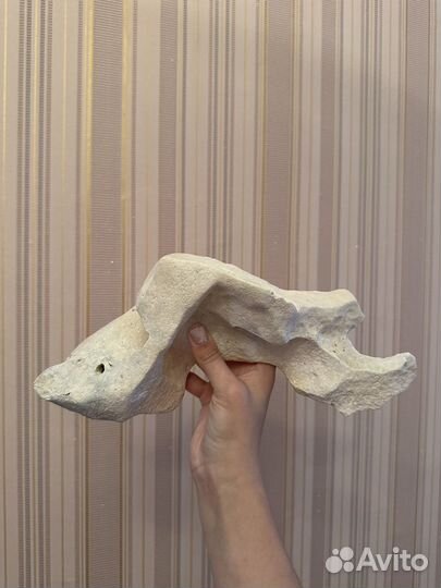 Для аквариума