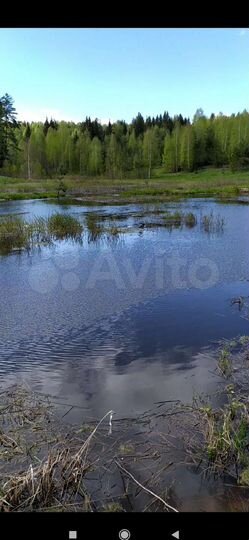 Участок 6,5 га (СНТ, ДНП)