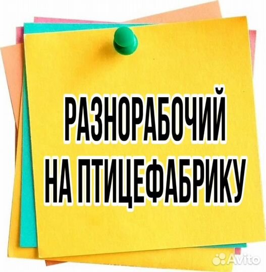 Разнорабочий на птицефабрику(подработка)