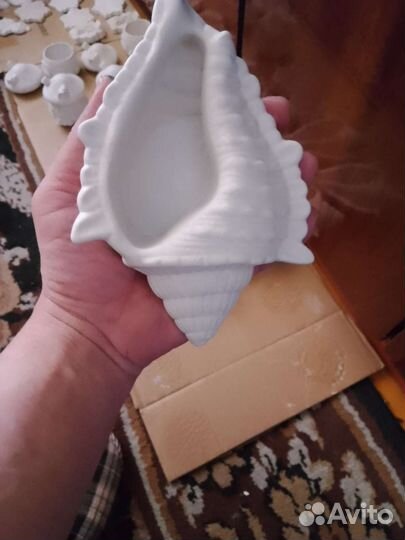 Раскраска из гипса,ракушка