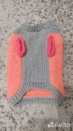 Одежда для собак