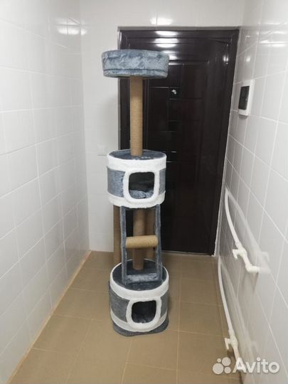 Когтеточка для кошек