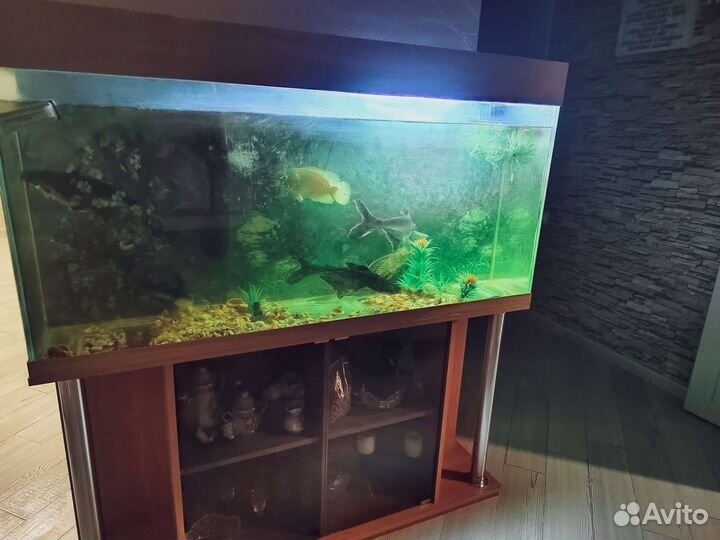 Аквариум