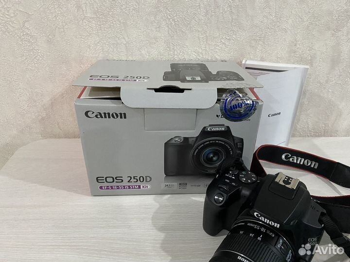 Canon EOS 250D EF-S 18-55 IS STM Kit