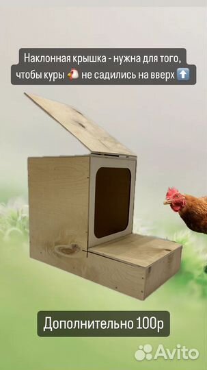 Гнездо для кур с яйцесборником