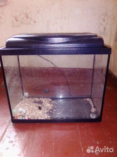 Аквариум, аксессуары